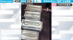 一体これは何！？空気を送り込むと言葉を発する装置、人間の“声のメカニズム”を再現した不思議な模型が話題に