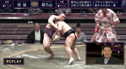 照強、鮮やかな援護射撃 “足取り”で朝乃山を下す 照ノ富士は2敗目を喫するも単独トップで千秋楽へ