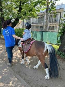 安めぐみ、初めて乗馬体験をした次女の反応を報告「すぐニコニコ乗れて」 