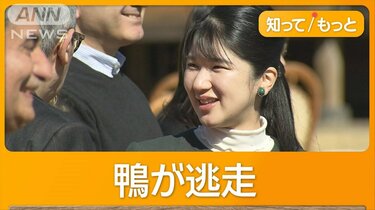 あいのあいこ様 あいのあいこ様 （愛子さまが「鴨場接待」デビュー ハプニングも