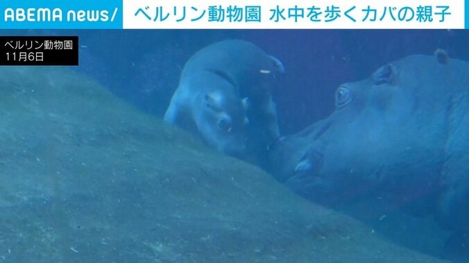ベルリン動物園