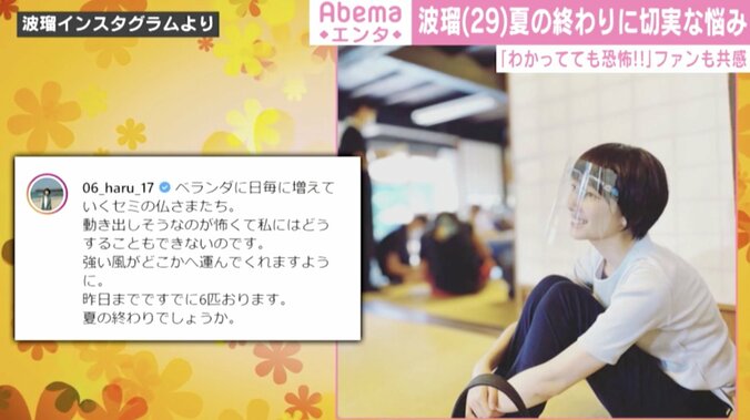 「日毎に増えていくセミ」波瑠の“切実な悩み”に「わかってても恐怖」と共感の声 1枚目