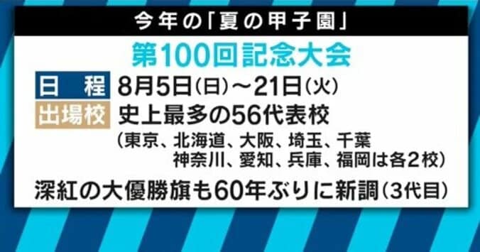 県民ショー、ミュージカル、永遠の夏…高校野球が日本人を魅了するワケは？ 2枚目