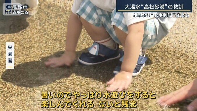 来園者