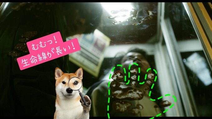 自粛疲れには 『犬鳴村』恐怖回避ばーじょんがぴったり！？5月22日より順次公開決定 3枚目