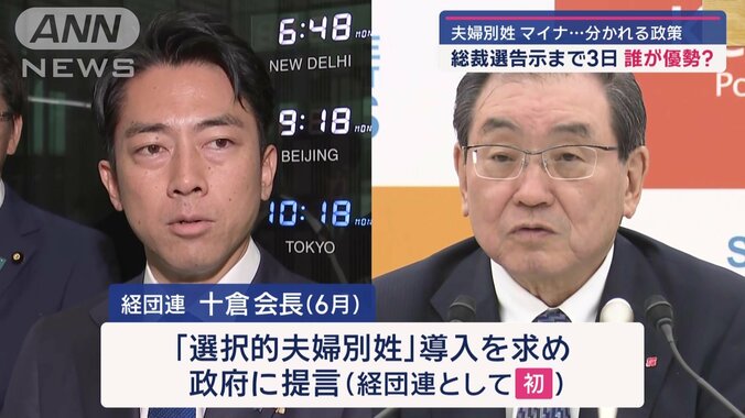 自民総裁選告示まで3日　初の女性候補・高市氏の勝算は？ 11枚目