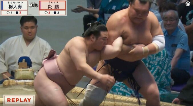 炎鵬、“技あり”驚異の逆転劇も「腕あぶない」「ちぎれるとこだった」 左腕「くの字」の衝撃光景に心配の声 4枚目