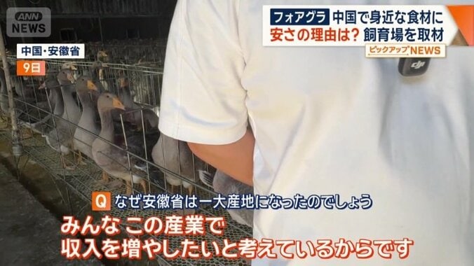一大産地になった理由は？