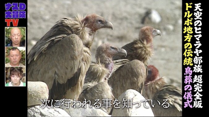 鳥に遺体を食べさせて処理…日本人には馴染みのないチベット「鳥葬」儀式に密着「凄まじい貴重映像」と反響 1枚目