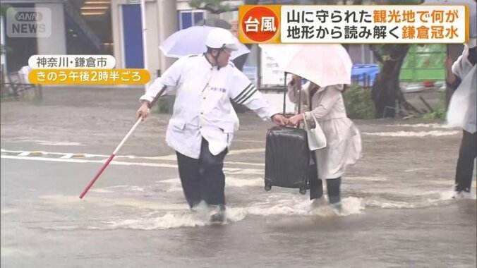 鶴岡八幡宮へと続く参道・若宮大路