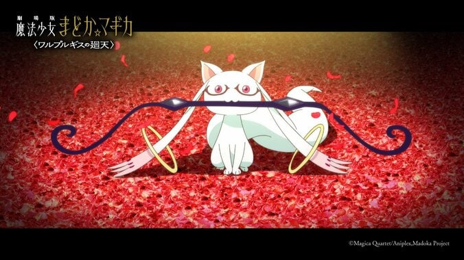 「予告で泣いてしまう」「どれだけ待ったと」ファンから歓喜の反響、『劇場版 魔法少女まどか☆マギカ〈ワルプルギスの廻天〉』本予告解禁 3枚目