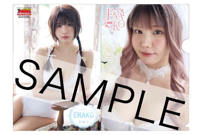 えなこ両面クリアファイル　Takanori Fujishiroiro