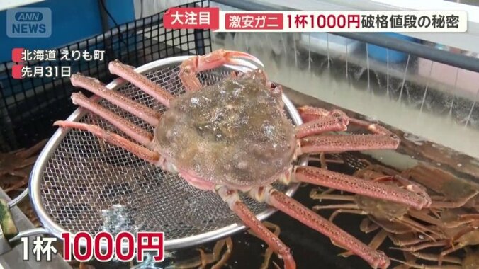 一番の特徴は「安さ」
