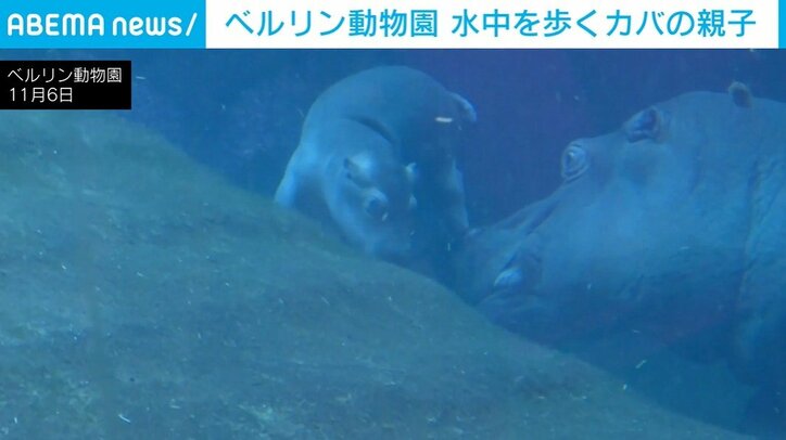 ベルリン動物園