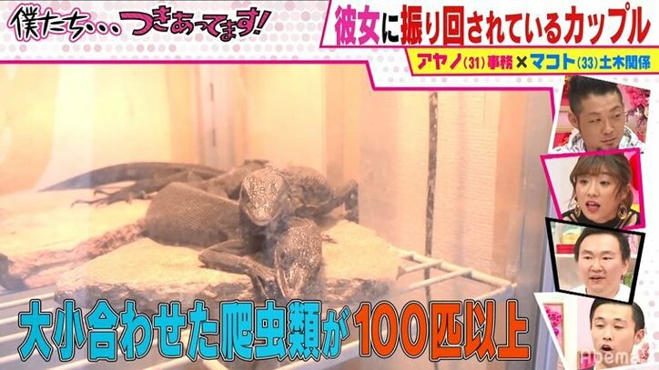 普通の一軒屋の引き出しから巨大な蛇が…100種類以上の爬虫類を飼う女性の家が凄すぎてかまいたち衝撃！「ウソだろ！？」