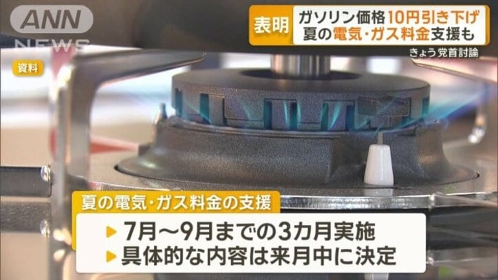夏の電気・ガス料金の支援も