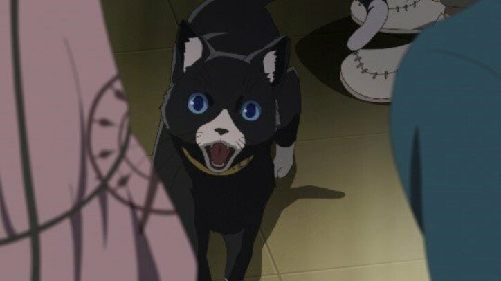 アニメ「このすば」「ペルソナ5」など大人気シリーズを無料一挙配信 ABEMA『夏休み!OVA祭り』開催