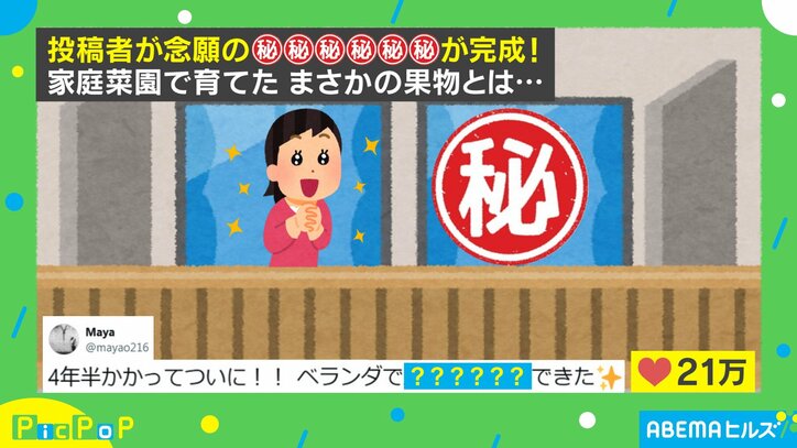 4年半かけて家庭菜園で育てたまさかの果物