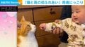 生後6カ月の赤ちゃんが猫に初タッチ！ 両者の“微笑ましい”姿に「仕草や表情で癒された」「撫で方上手」とほっこり