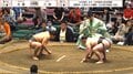「何気に映ってるやん」大相撲、行司の背後に着物姿の美人女優が降臨 「お美しい」「早い時間から」驚きの声