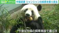 中国返還 シャンシャンの成長を振り返る
