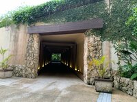 桃『初めての水着と海』