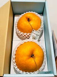 だいたひかる『夫に辞めて欲しい事』