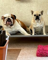 北斗晶『流石に眠いぞ〜』