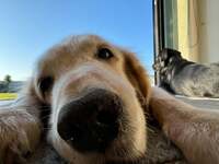 山田美保子『坂上忍さんから』