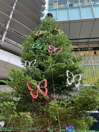 小林麻耶『2018/11/15』