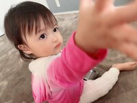 アレクサンダー『美人ちゃんとのんちゃんどっちが可愛い？』