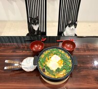 藤あや子『昨日の晩ごはん』