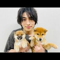 子犬からキス！横浜流星のデレデレな表情にファン悶絶「可愛いの暴力」「過呼吸起こしそう」