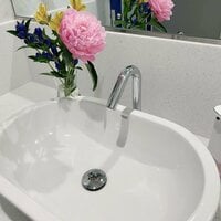 堀ちえみ『早起き出来ることはありがたいこと』