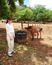 「すごいビックリしてる 可愛い！」堀未央奈、ニューカレドニアでの“驚き顔”にファン歓喜