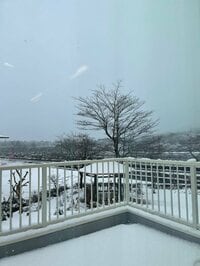 キャシー中島『御殿場は銀世界』