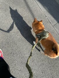 尾形あい『お仕事前に検査』