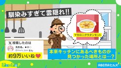 馴染みすぎて違和感ない!! マカロニグラタンが見つかった“意外すぎる場所”に「B6判と同じサイズ感なんだ」「シンデレラフィットとはこのこと」反響続々