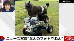 クマ撃退マシン「モンスターウルフ」が進化 ドコモ×スズキの提携で“自走式”へ 2027年度の実用化に向けて