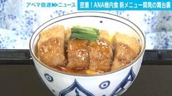 軽食に「カツ丼」？ ANAが代替肉を使用した機内食の新メニュー 「食感も本当のお肉に近い」