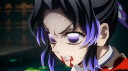 胡蝶忍「隱藏的憤怒與覺悟」PV公開，電影《鬼滅之刃 無限城篇 第一章 猗窩座再現》8週連續廣告的第3彈