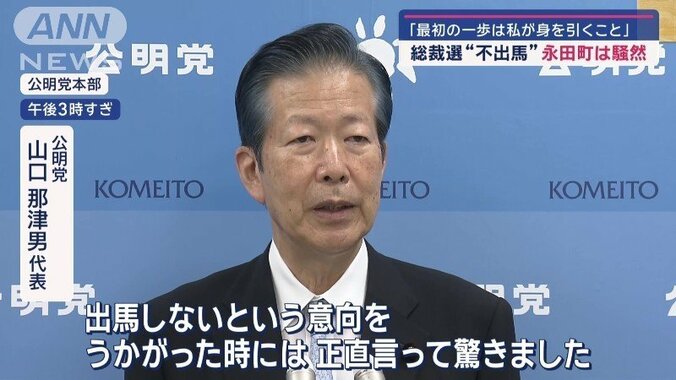 公明党 山口代表