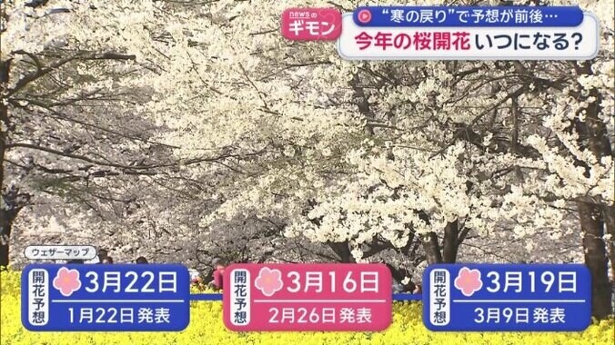 予想が激しく前後