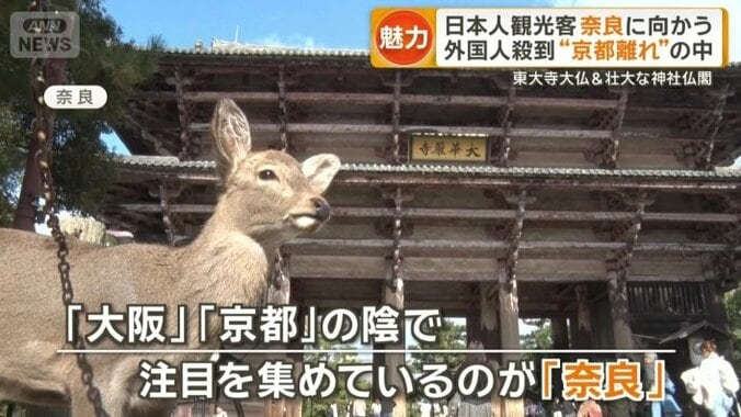 大阪と京都の陰で注目を集める奈良
