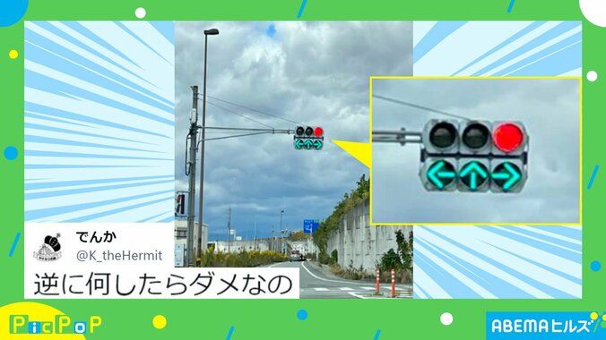 「逆に何したらダメなの」交差点で見かけた“矢印式信号の指示”が謎だと話題に 1枚目