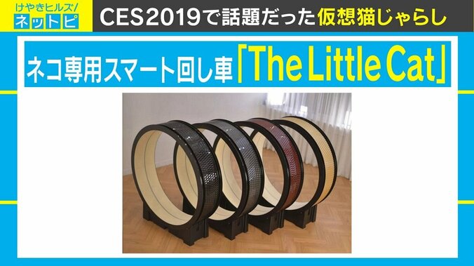 “ネコの日” 40億円売り上げたハイテク猫じゃらしに注目 1枚目