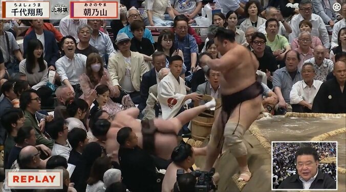 「着物姿がおキレイ」大相撲、溜まり席に“凛”とした女性著名人の姿「いらしていますね」 4枚目
