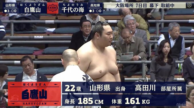 今では珍しい“中卒力士” 白鷹山が十両確実　相撲未経験者を一から教える高田川親方 1枚目