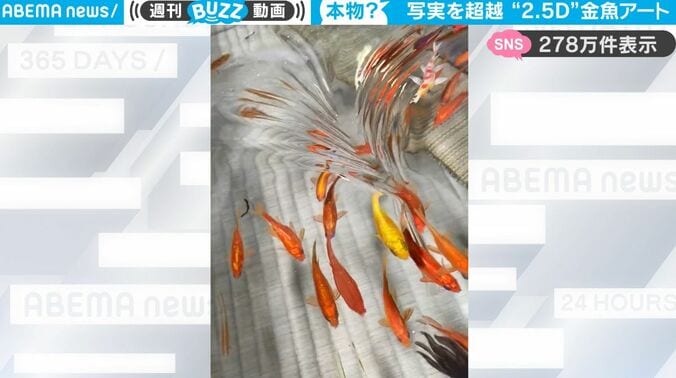 本物の金魚にしか見えない！日本人絵師が「2.5Dペインティング」で描いたスゴすぎる“金魚アート”に世界中からの熱視線「剥製かと思った」 1枚目