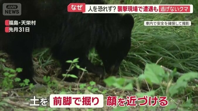 食べるものを探している？
